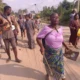 Togo – Dzogblakopé : Manifestations contre une appropriation contestée de 7 hectares