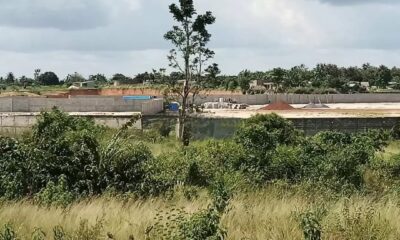 Terrains au Togo : Pourquoi les Togolais sont-ils exclus de leurs propres terres ?