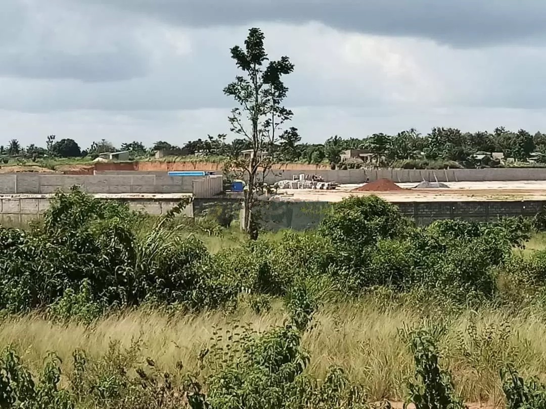 Terrains au Togo : Pourquoi les Togolais sont-ils exclus de leurs propres terres ?