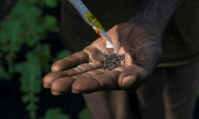 Togo : Vers une meilleure protection du patrimoine génétique face aux pressions foncières