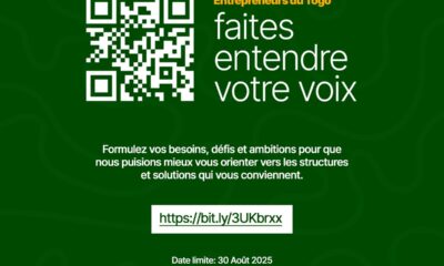 Entrepreneurs togolais : exprimez vos besoins dans ce sondage, Le gouvernement veut connaître vos besoins