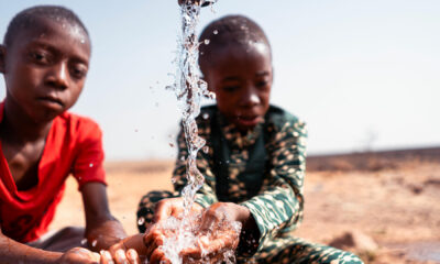 Togo : Un appui massif de l’ONU pour l’agenda environnemental
