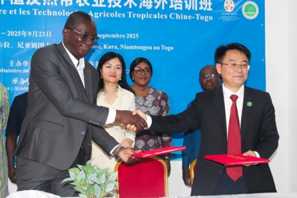 Togo : une académie chinoise s’allie à l’ITRA pour booster la filière rizicole