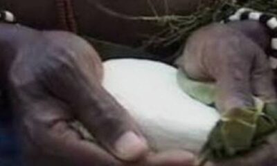 Togo-Glidji : La pierre sacrée 2025 délivre un message d’alerte