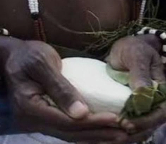 Togo-Glidji : La pierre sacrée 2025 délivre un message d’alerte