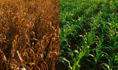 Changements climatiques : Une veille permanente pour renforcer la résilience du Togo