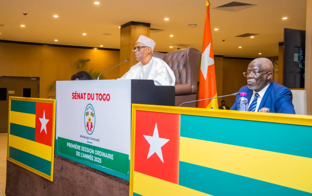 Parlement togolais : le Sénat ratifie ses commissions et booste son efficacité