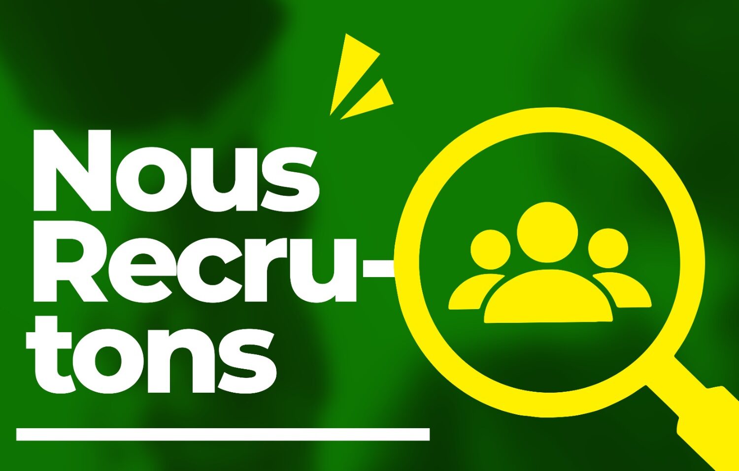 Offre d’emploi au Togo : MECPIP recherche un expert en bases de données — postulez avant le 28 novembre !