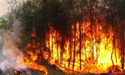 Feux précoces au Togo : dates et règles à respecter pour éviter les sanctions