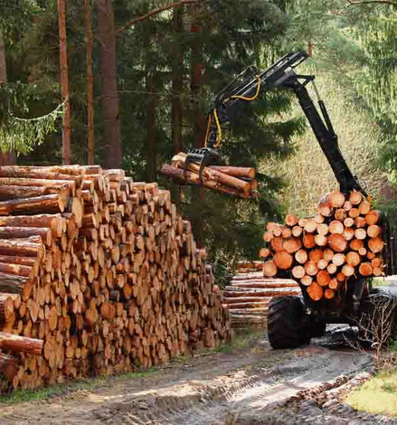 Togo : un nouveau cadre réglementaire pour encadrer le secteur forestier