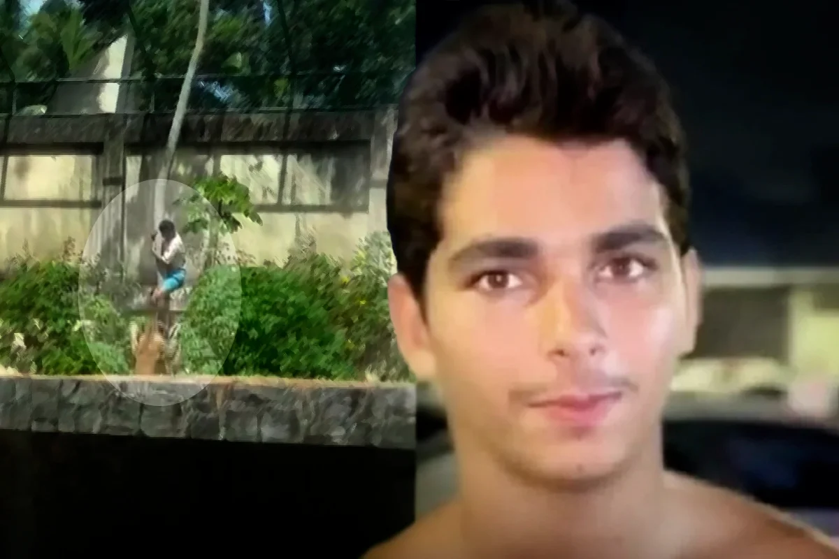 Un jeune Brésilien tué après être entré dans l’enclos des lions