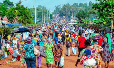 Pèlerinage à Kovié : que vivent réellement les fidèles sur les pas de Marie ?