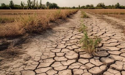 Sécheresse et fortes chaleurs : l’ANAMET alerte sur une période climatique critique au Togo