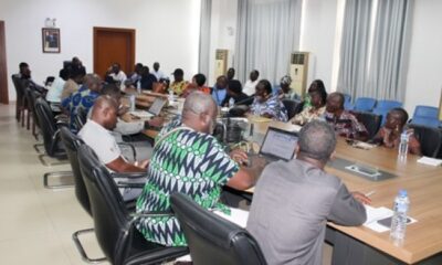 Filières agricoles : le Togo met à jour les bases de données pour mieux structurer la production