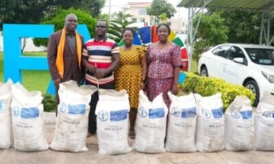 Sécurité alimentaire au Togo : la FAO mobilise 3,5 milliards FCFA