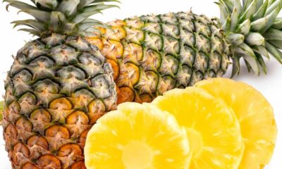 Agriculture biologique : le projet Cap-Bio Togo va accompagner 36 500 producteurs