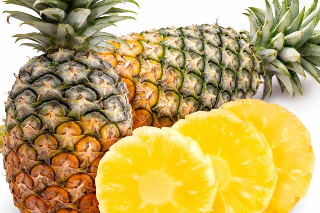 Agriculture biologique : le projet Cap-Bio Togo va accompagner 36 500 producteurs