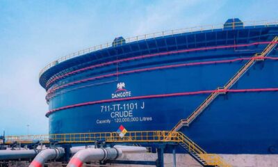 Alors que la saison des pluies s’installe progressivement au Togo, les prévisions météorologiques et climatiques indiquent une période pluvieuse notable, notamment dans le sud du pays, où les précipitations sont naturellement plus abondantes.