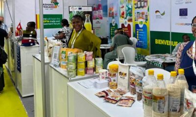 Togo : un nouvel appel à projets pour sélectionner 50 TPME