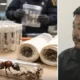 Kenya : arrestation spectaculaire d’un Chinois transportant 2 200 fourmis