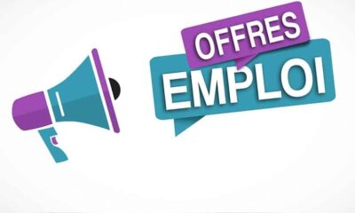 Emploi au Goethe-Institut : un poste d’assistant administratif ouvert à Lomé