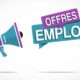 Emploi au Goethe-Institut : un poste d’assistant administratif ouvert à Lomé