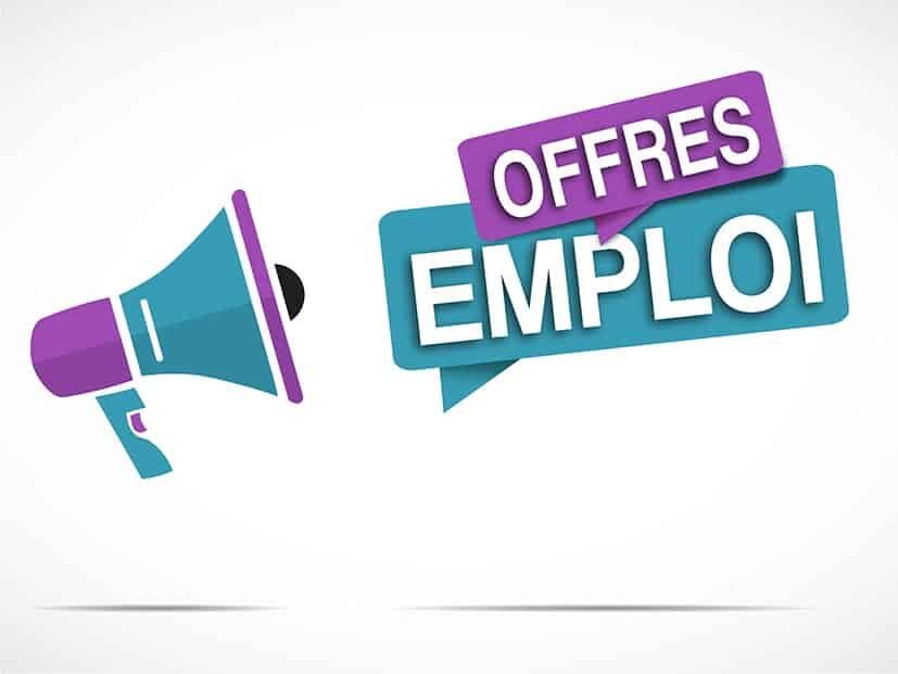 Emploi au Goethe-Institut : un poste d’assistant administratif ouvert à Lomé