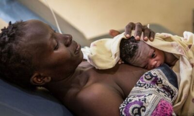 Le Centre Hospitalier Régional (CHR) de Dapaong est au cœur d'un scandale inhabituel. Une famille résidant dans la ville se dit désemparée et en colère après avoir constaté la disparition du placenta de leur nouveau-né. Entre négligence médicale et soupçons de pratiques occultes, l'affaire enflamme les discussions dans la cité des Savanes.