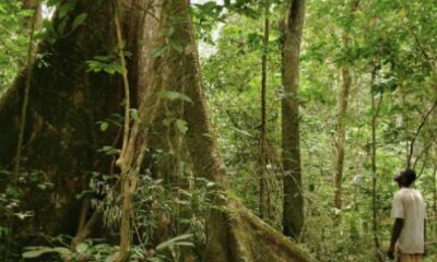 Togo : un officier supérieur prend la tête du corps des Eaux et Forêts