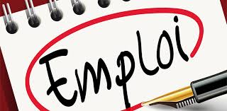 RECRUTEMENT : un concessionnaire automobile à Lomé recherche un Community Manager (H/F)