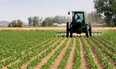 Agriculture togolaise : un potentiel énorme encore sous-exploité
