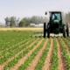 Agriculture togolaise : un potentiel énorme encore sous-exploité